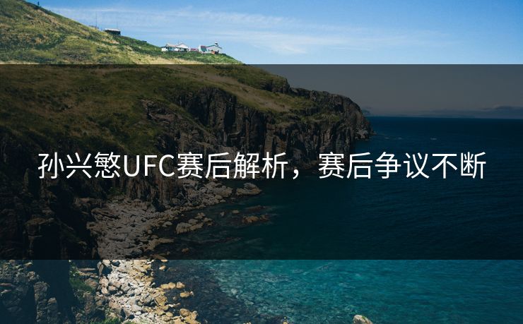 孙兴慜UFC赛后解析，赛后争议不断